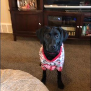 Meet your Posher, Marilyn